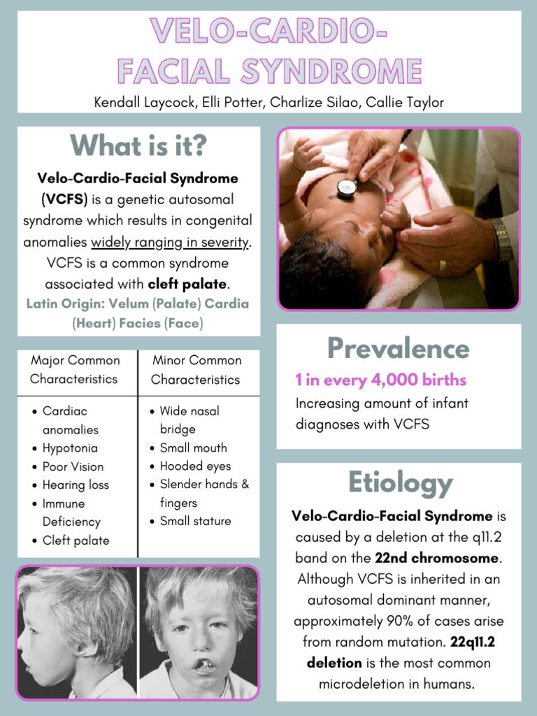Understanding Velo-Cardio-Facial Syndrome | PDF | Genetics | Human ...