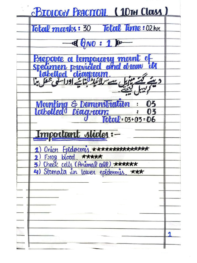 Bio Practicals | PDF