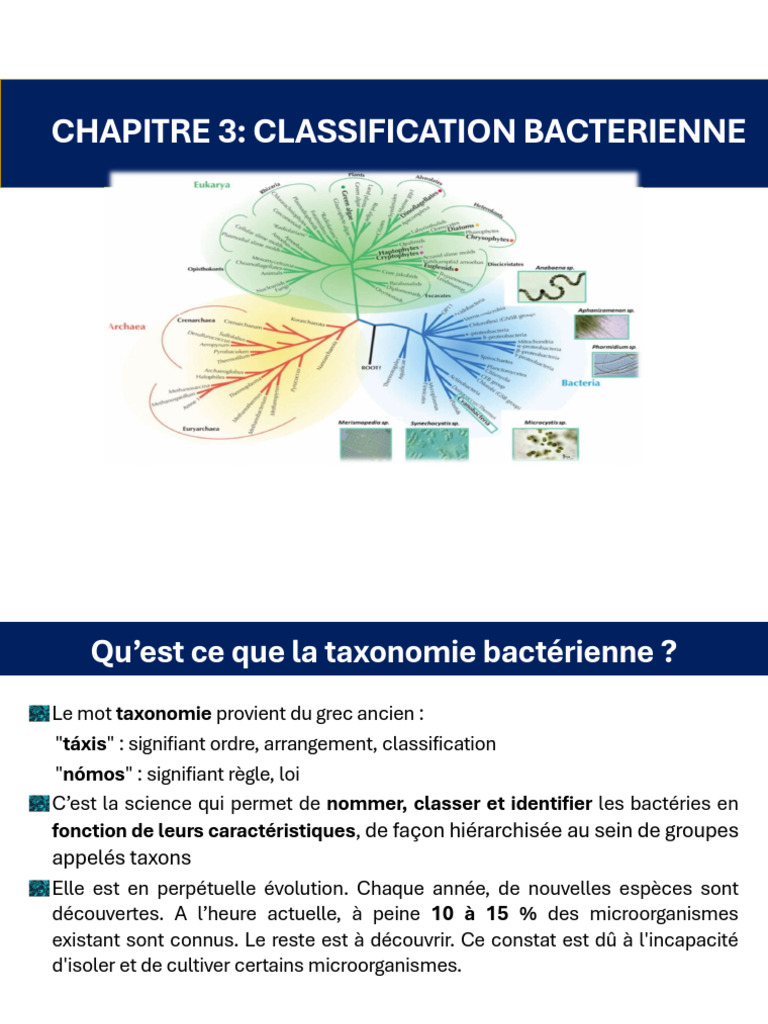 Cours 5 Microbiologie | PDF | Bactérie | Prokaryota