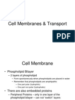 Cell Membranes & Transport