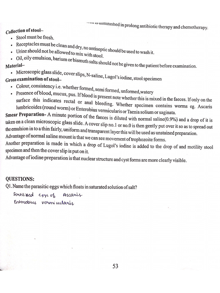 Micro 6 | PDF