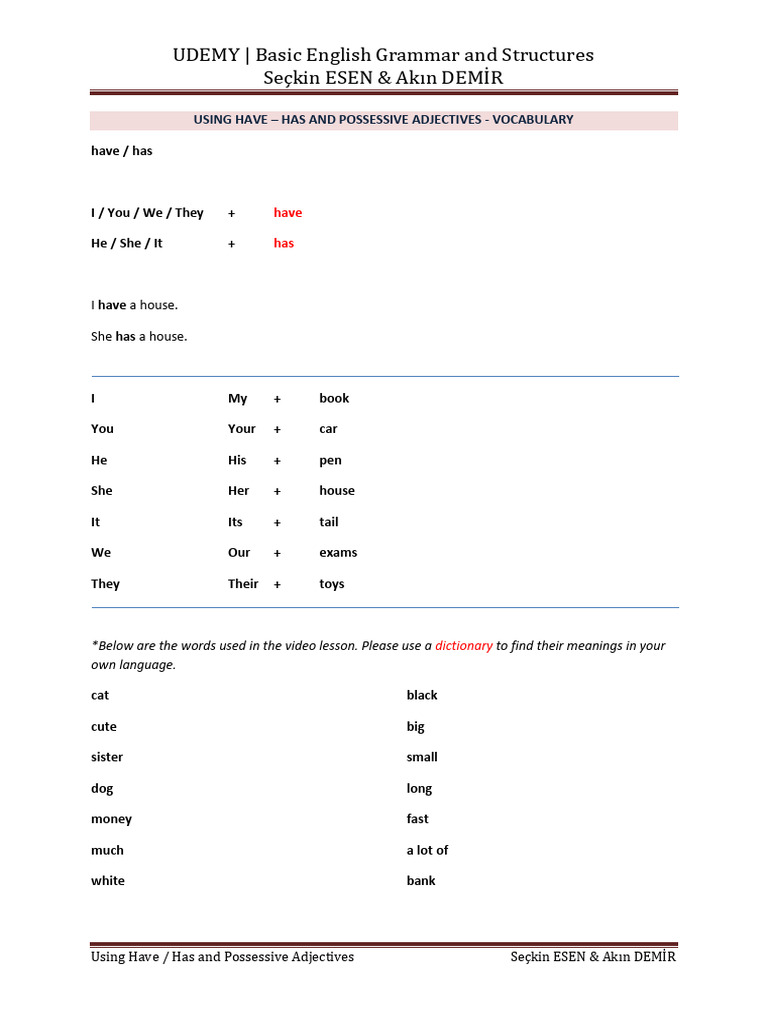 8 - 008-Using-Have-Has-and-Possessive-Adjectives-Vocabulary | PDF