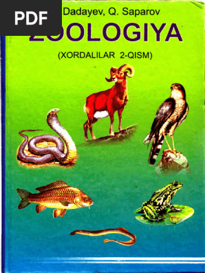 VKontakte porno video ukrainalik ayollar yotoqxonasida