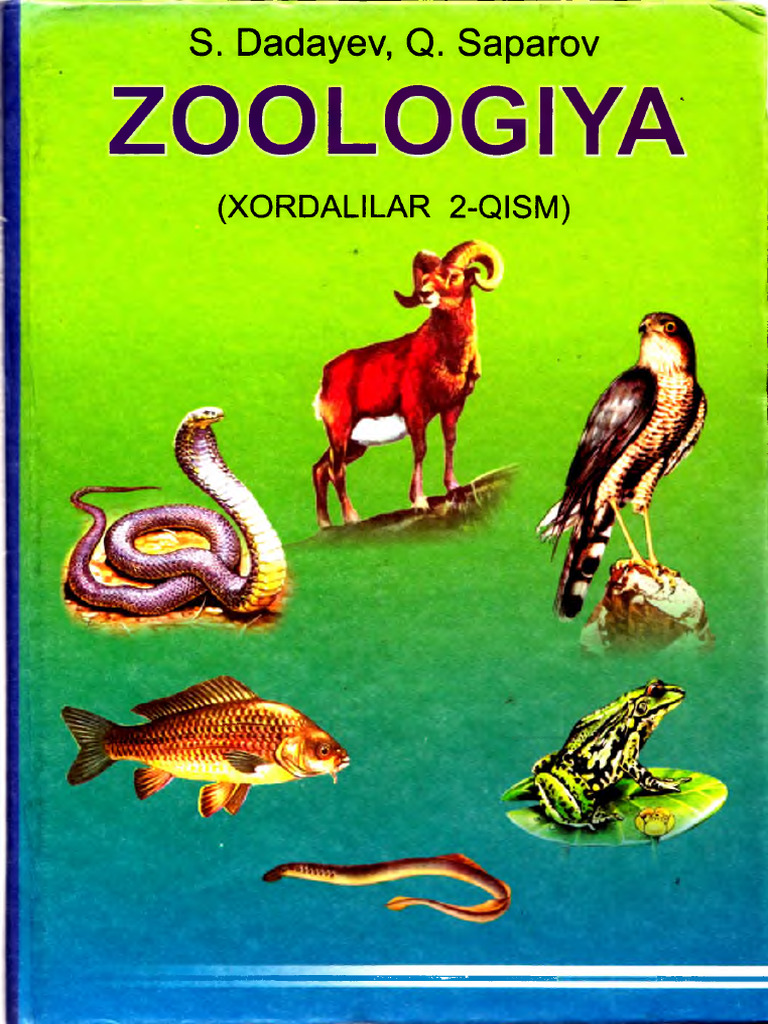 Katta kokrak fotosuratlari