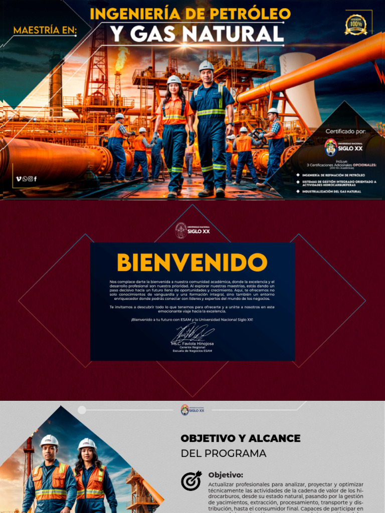 PDF ING DE PETRÓLERO Y GAS NATURAL | PDF | Petróleo | Petroquímico