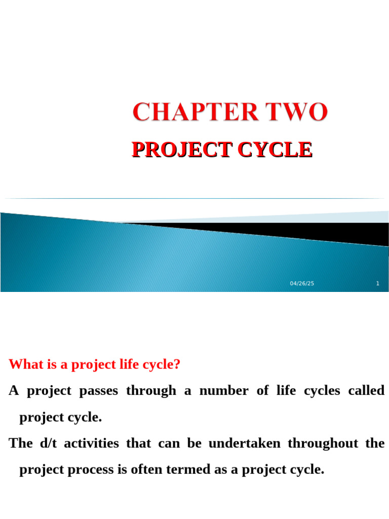 Understanding the Project Cycle Stages | PDF | Feasibility Study ...