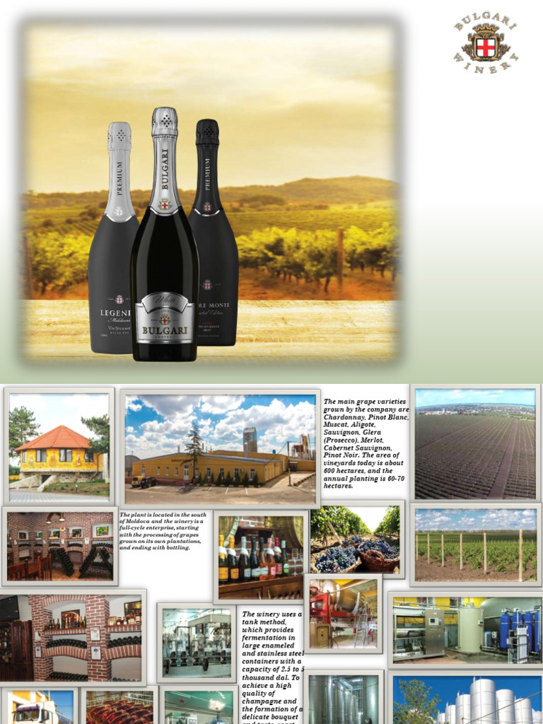 Moldova's Quality Grape Wines and Sparkling | PDF | Rose | Fermented Drinks