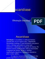 Ascariatuali2