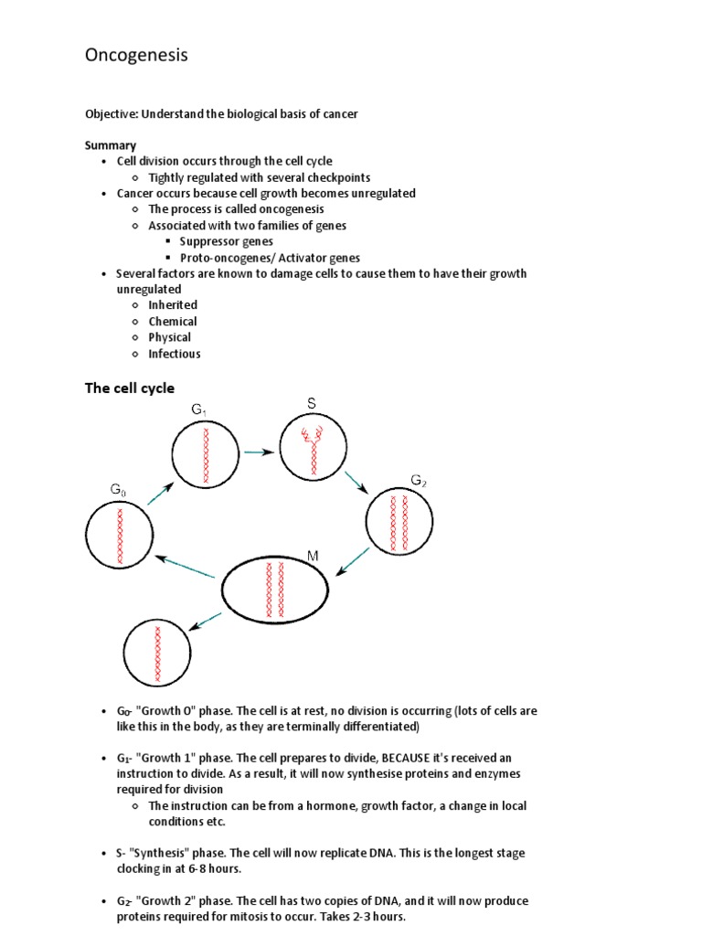 Carcinogenesis Biology Diagrams