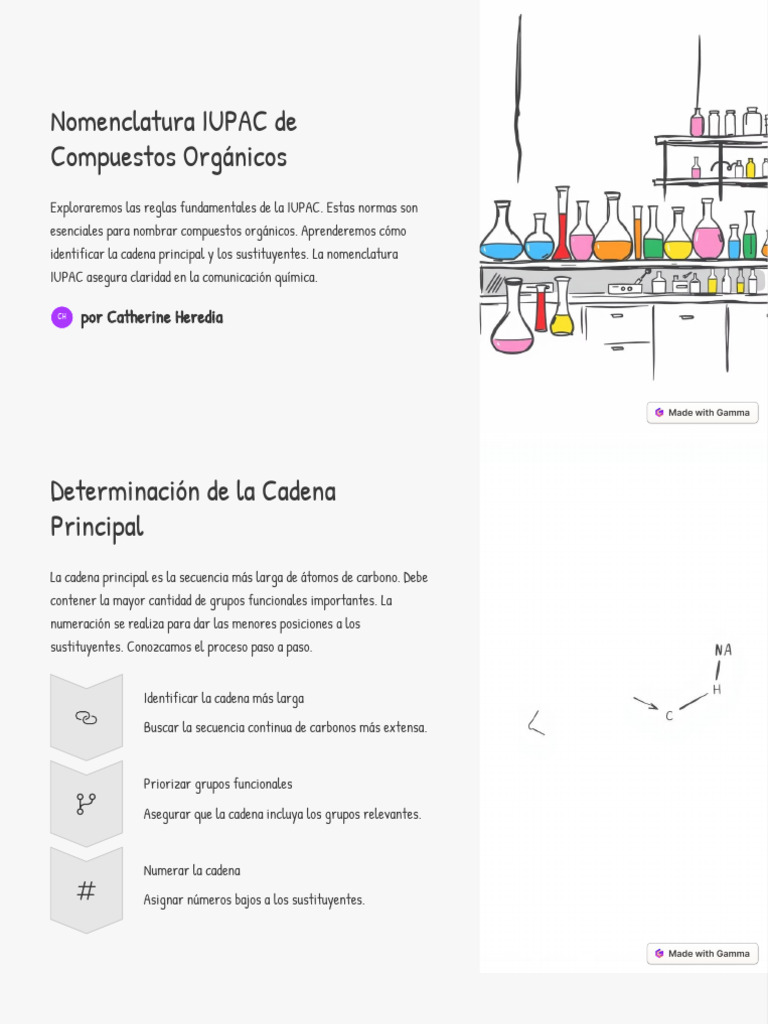 Nomenclatura IUPAC de Compuestos Organicos | PDF