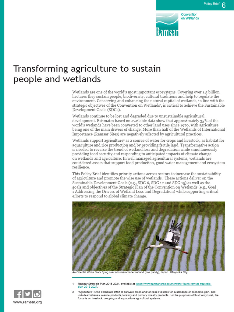 Sustainable Agriculture and Wetland Conservation | PDF | Agriculture ...