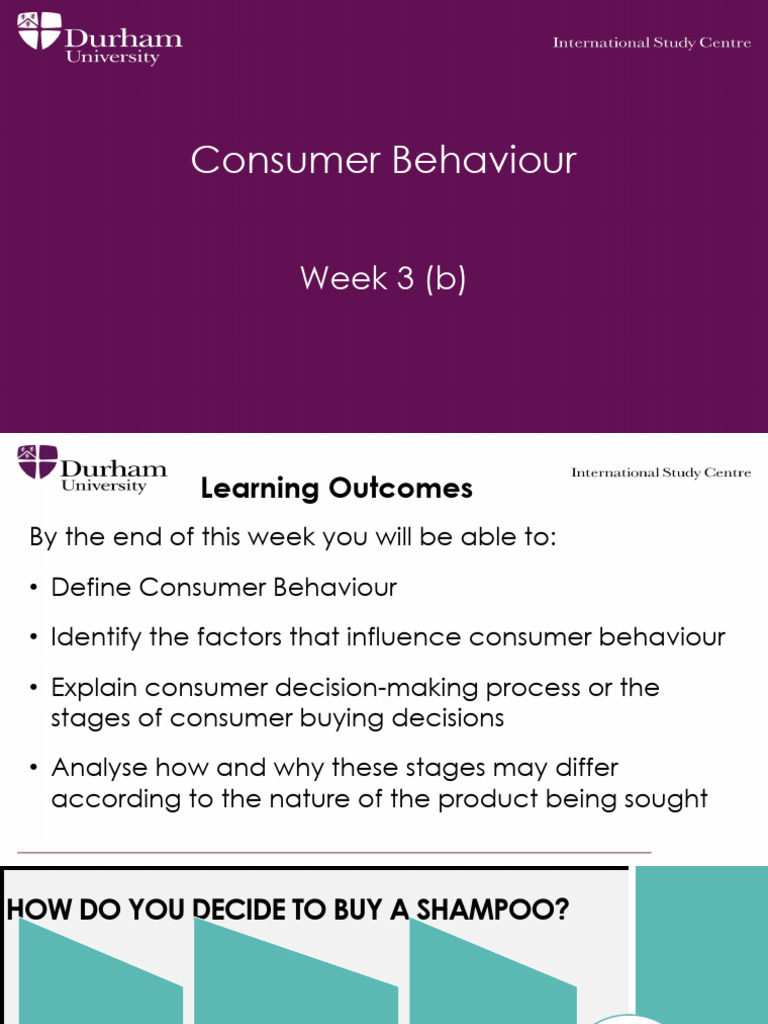 Understanding Consumer Behavior Factors | PDF | Consumer Behaviour ...