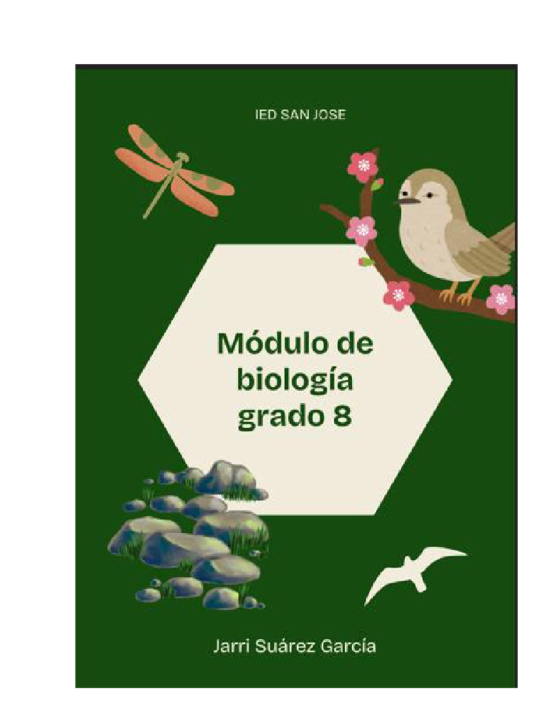 Ciclo Celular: Mitosis y Meiosis Explicados | PDF | Mitosis | Mitosis