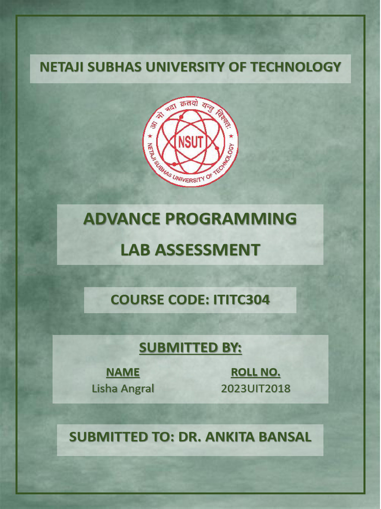 Lisha Angral's Lab Assessment Report | PDF