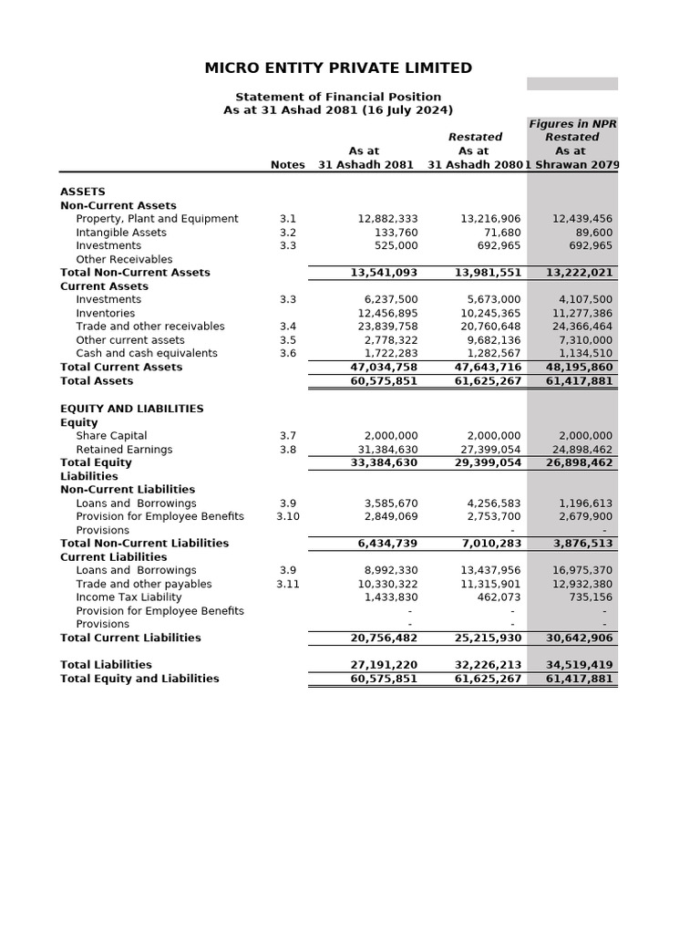Micro Entity Pvt Ltd Financial Statement 2081 | PDF | Expense | Equity ...