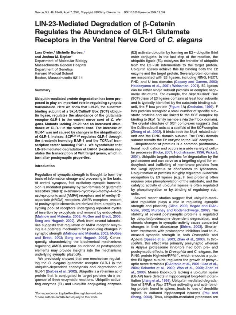 LIN-23-Mediated Degradation of β-Catenin Regulates the Abundance of GLR ...
