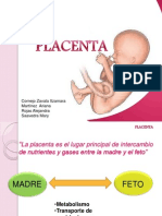 Expo Placenta