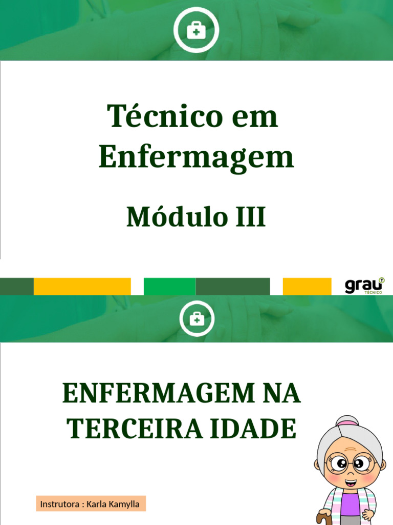 Enfermagem na Terceira Idade: Cuidados e Desafios | PDF ...