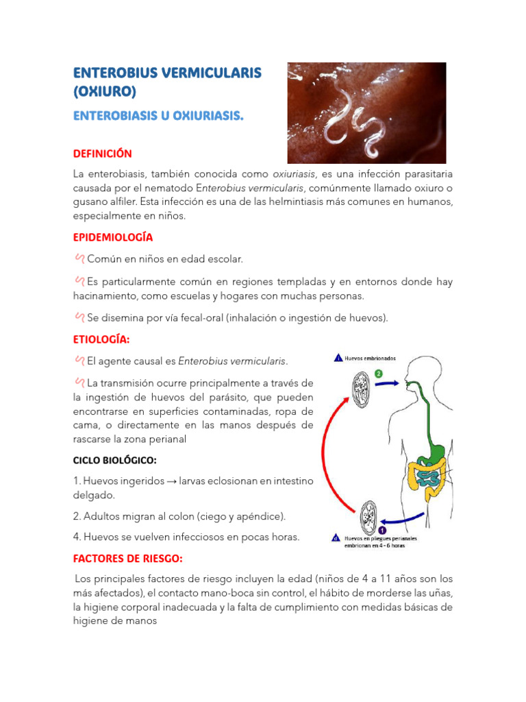 Enterobius Vermicularis | PDF