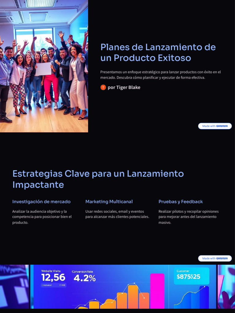 Planes de Lanzamiento de Un Producto Exitoso | PDF