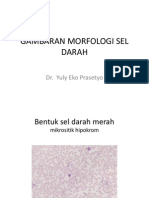 GAMBARAN MORFOLOGI SEL DARAH