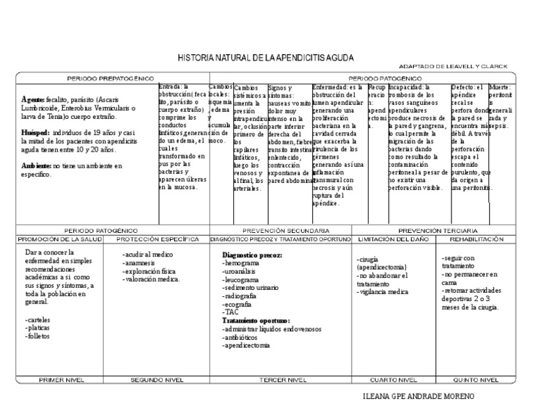 Resultado de imagen para apendicitis historia natural