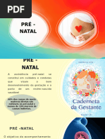 Encaminhamento para Pré-natal de Alto Risco | PDF | Gravidez | Gestação