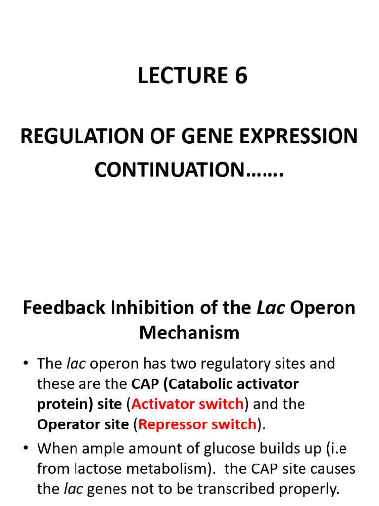 Gene Expression Regulation Overview | PDF | Operon | Repressor