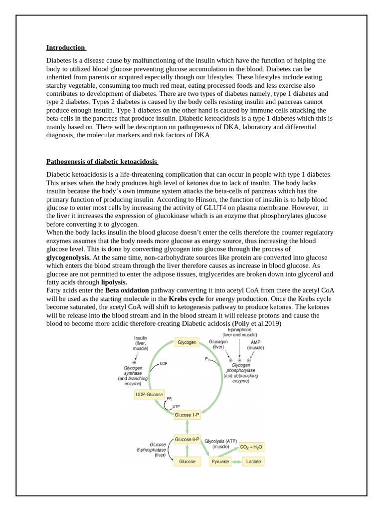Pathogenesis of Diabetic Ketoacidosis | PDF | Diabetes | Hyperglycemia