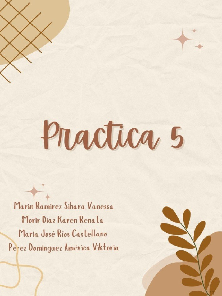 Practica 5 | PDF