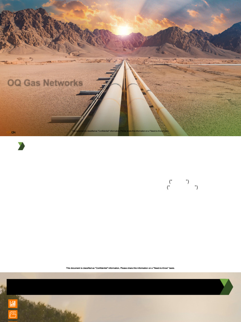OQGN Annual Report 2024 Overview | PDF | Natural Gas | Inflation