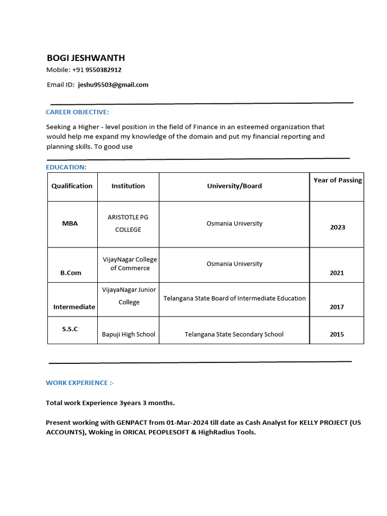 Finance Professional Resume Summary | PDF | Business
