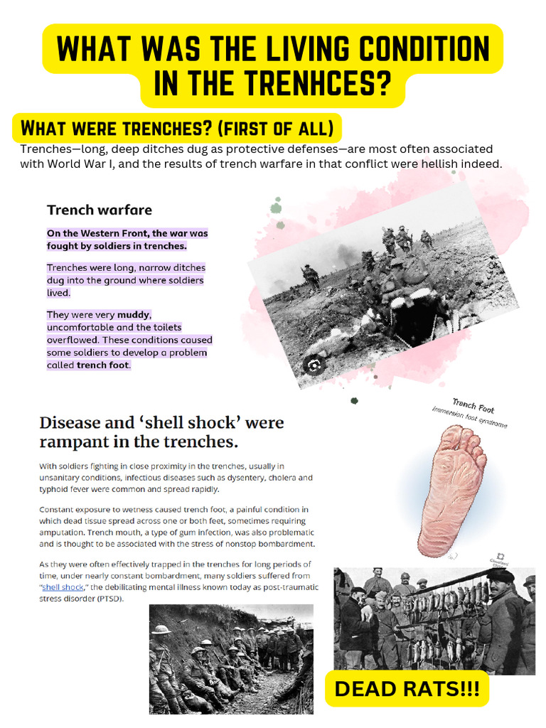 What Were The Trench System & Why Was It Used in WW1 | PDF