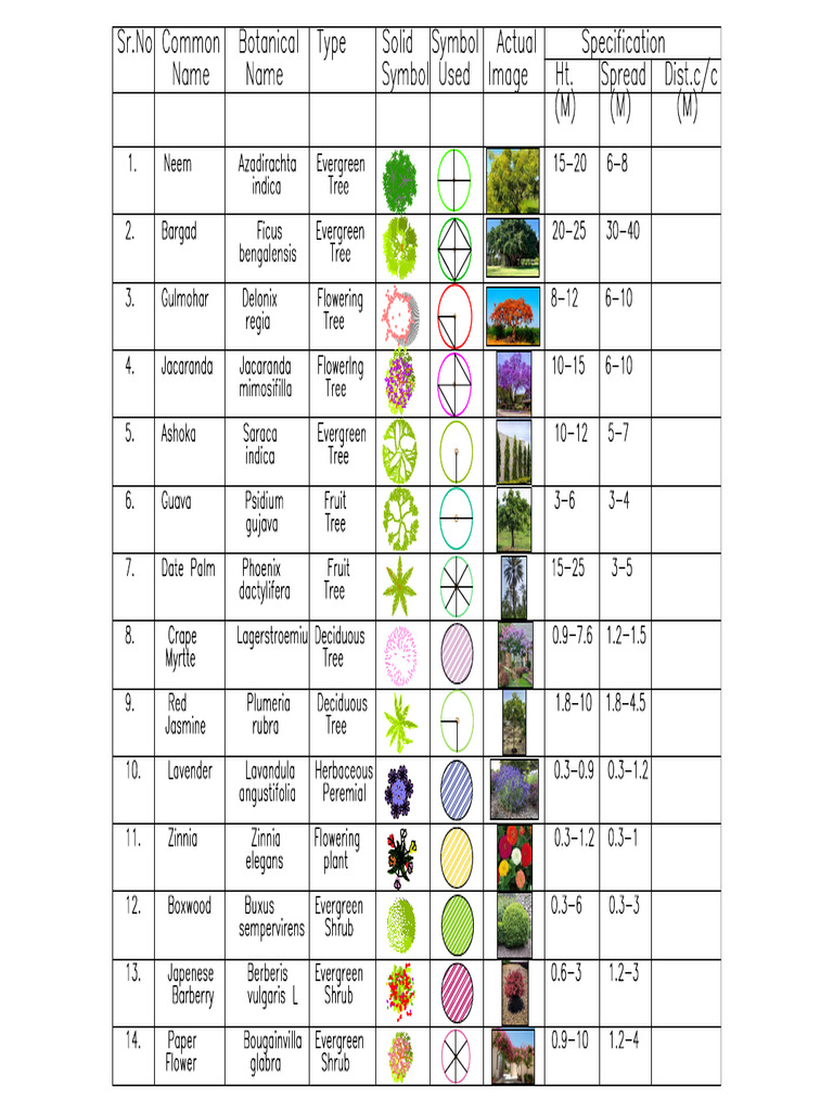 TTTT | PDF