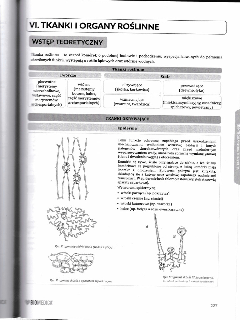 vi-tkanki-i-organy-ro-linne-pdf