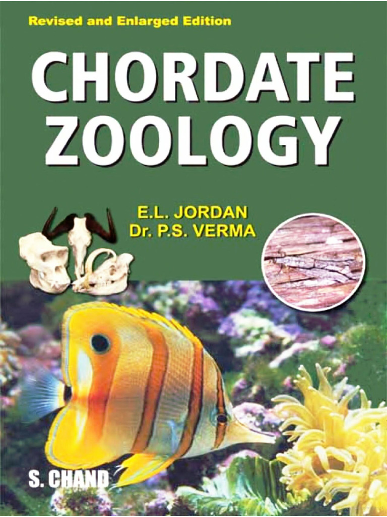 CHORDATES BOOK PDF DOWNLOAD visual data 8