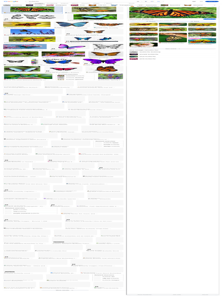 Butterfly - Google Search | PDF | Butterfly