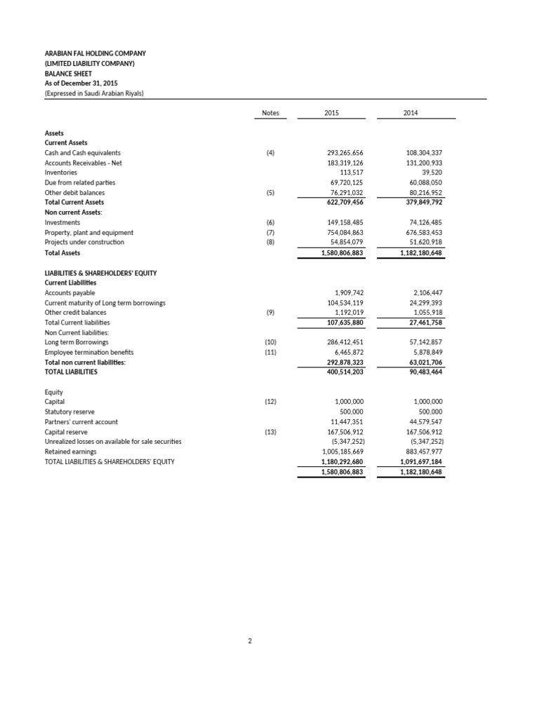 Financial Statement 2015 - 12 | PDF | Debits And Credits | Financial Risk