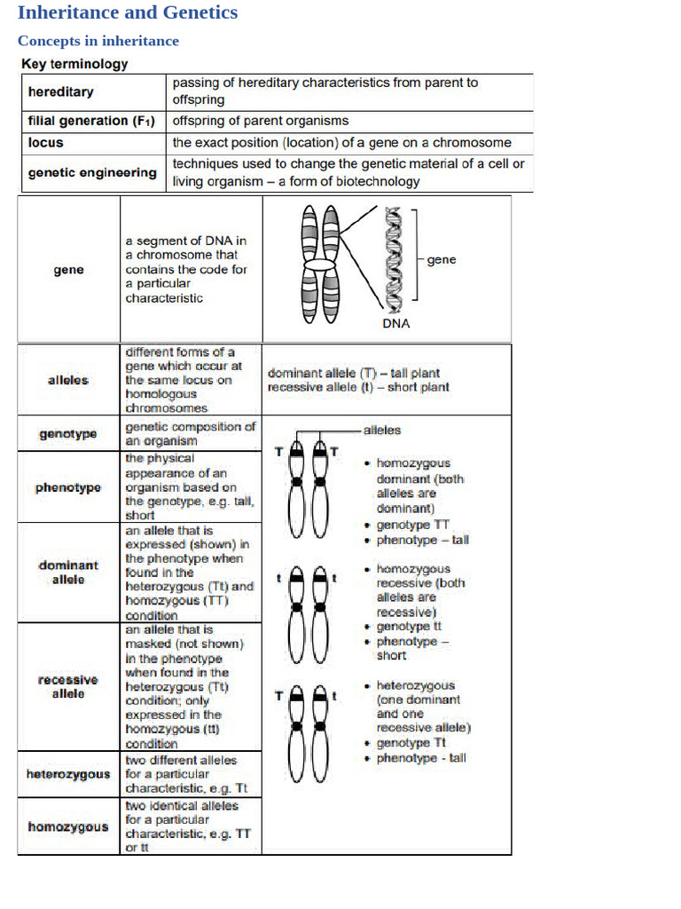 Mendelian Genetics and Inheritance Laws | PDF | Dominance (Genetics ...