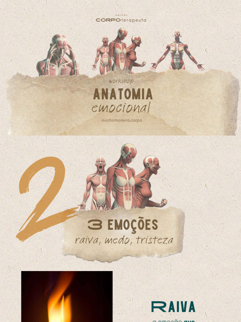 Aula 2 Anatomia Das 3 Emocoes | PDF | Emoções | Experiência subjetiva