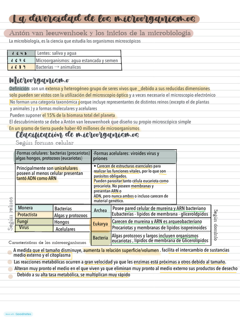 Diversidad y Clasificación de Microorganismos | PDF | Las bacterias ...