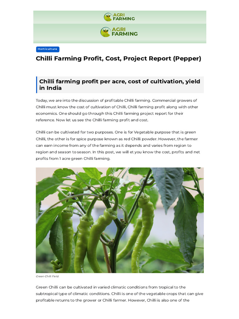 Chilli Farming Profit and Costs Analysis | PDF | Chili Pepper | Agriculture