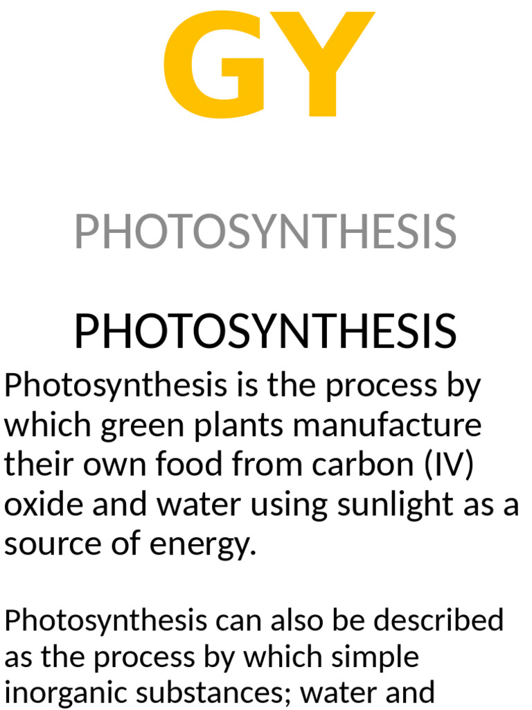 Understanding Photosynthesis Process | PDF | Photosynthesis | Leaf