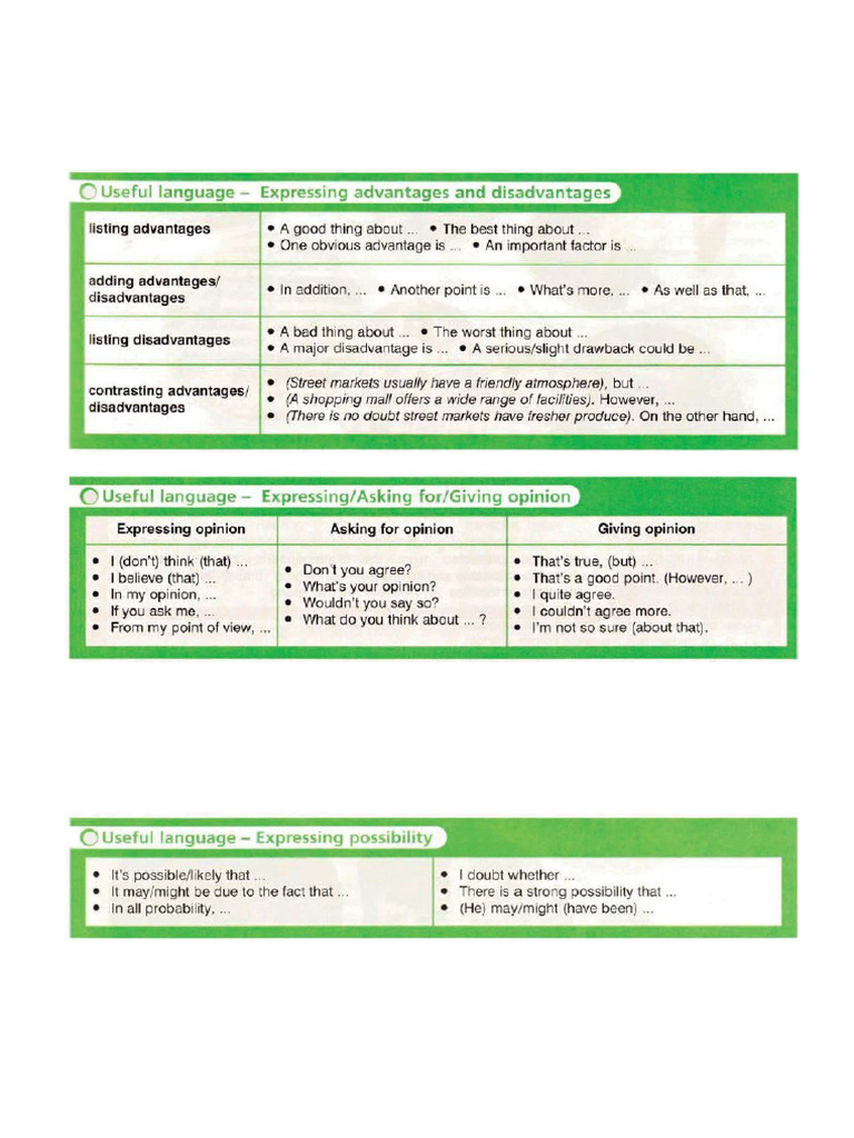Useful Language Speaking | PDF