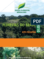 Livro Florestas Brasil Em Resumo 2010 Portugues
