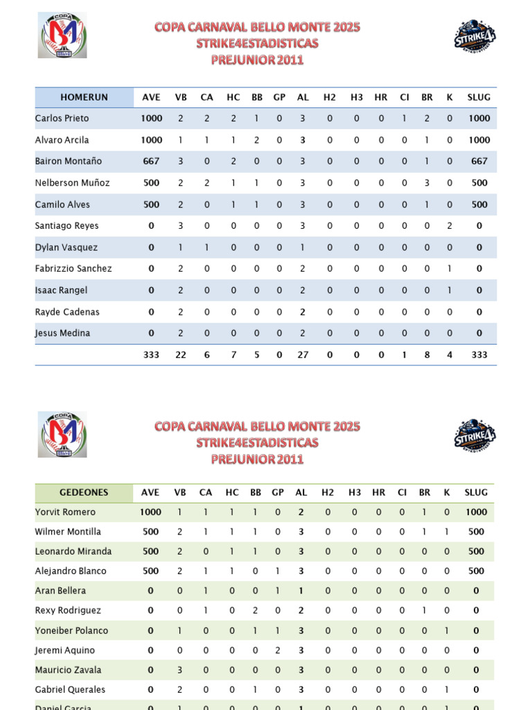 Player Performance Statistics Summary | PDF