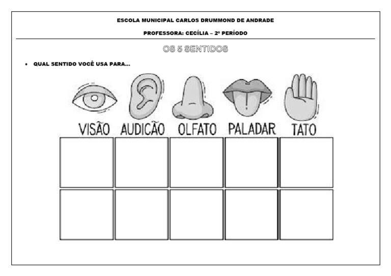 Os 5 Sentidos | PDF