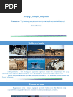 Тек Эрика Кишевамен жыныстық қатынас