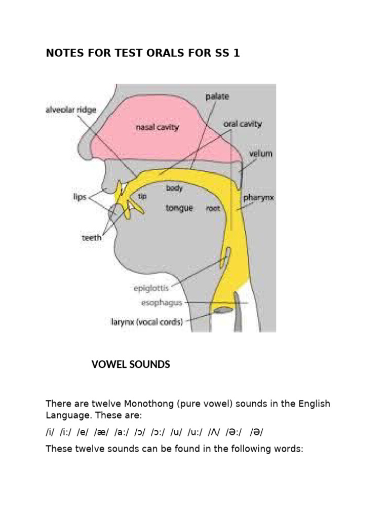Oral English Sounds and Stress Patterns | PDF | Stress (Linguistics ...