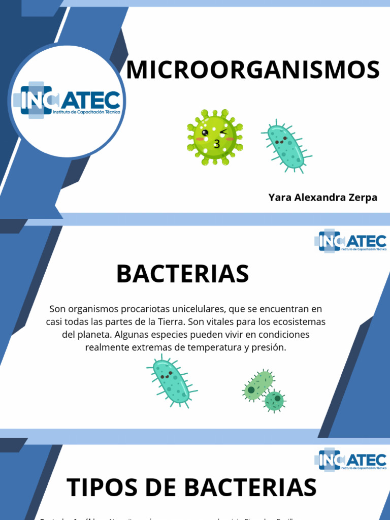 Tipos y características de microorganismos | PDF | Las bacterias | Virus